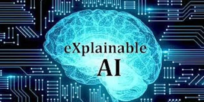 Explainable AI (XAI)