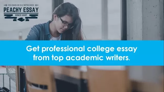 Academic writers