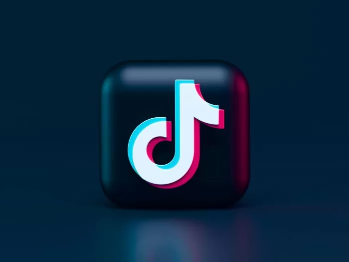 The Impact of TikTok on Business: Is It Irreplaceable? 61 Navigating the World of My TikTok Influencer Collaborations
