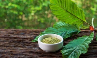 What Every Consumer Needs To Know About Kratom Selling Brands