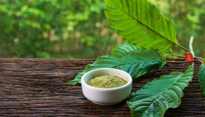 What Every Consumer Needs To Know About Kratom Selling Brands