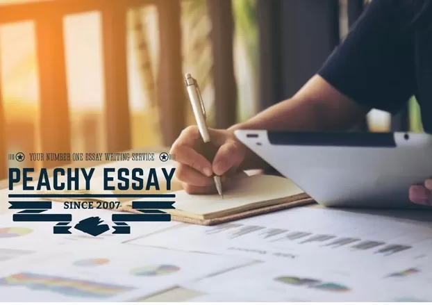 essay Writing