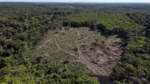 Inclusive Conservation: Brands Forge New Alliances with Indigenous Peoples to End Deforestation