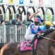 The Most Anticipated Horses in the 2023 Kentucky Derby Lineup