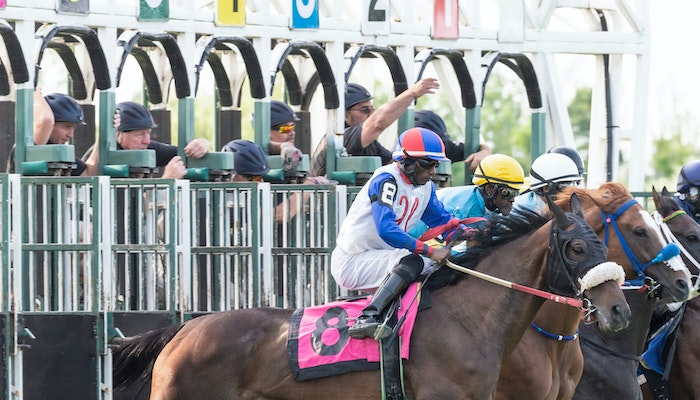 The Most Anticipated Horses in the 2023 Kentucky Derby Lineup