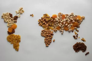 World Bank Response to Rising Food Insecurity