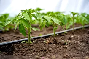 A Better, Faster Tool for Saving Water On Farms
