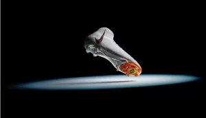 Nike Introduces Phantom Luna, The Company’s Most Thoughtful Women’s Led Football Boot
