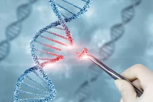 Spin-Out Company Launched to Deliver Gene Therapy During Bone Repair Surgery