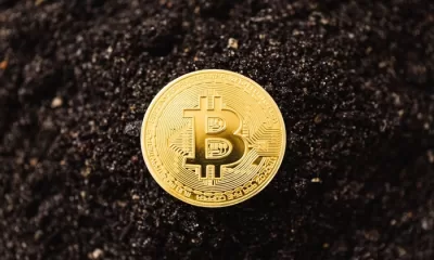 The Impact of Bitcoin on the Developing World