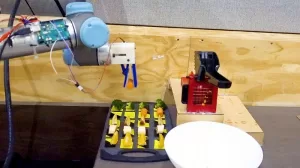 Robot ‘Chef’ Learns to Recreate Recipes from Watching Food Videos