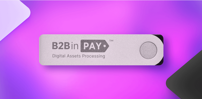 B2BinPay