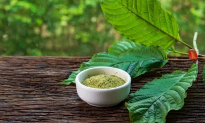 Best Kratom Vendors