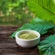 Best Kratom Vendors