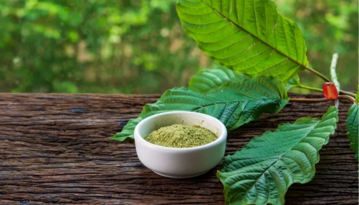 Best Kratom Vendors