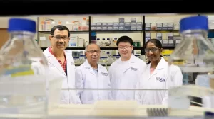 NUS Scientists Develop A New Class of Artificial Water Channels for More Efficient Industrial Water Purification