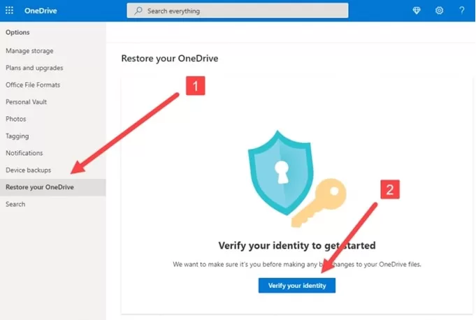 Verify your Identity