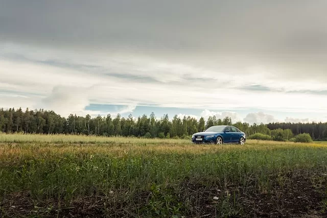 Perform Vehicle History Checks