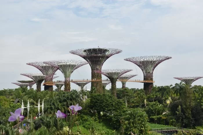 Gardens by the Bay