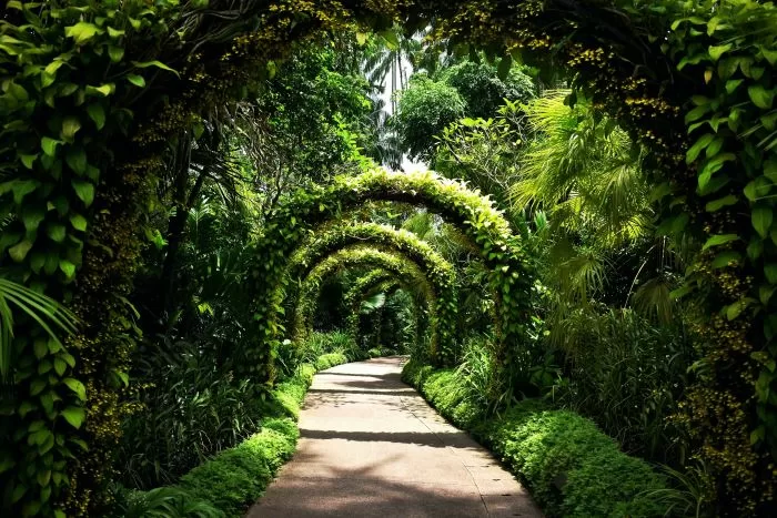 botanic gardens singapore