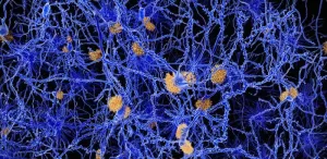 AI-Driven Techniques Reveal New Targets for Drug Discovery