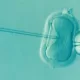 how-does-ivf-work