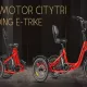 Electric Trike