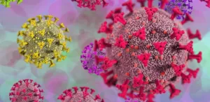 Impact of Prior Infections and Vaccination on Vulnerability to COVID-19 Mutations: A Comprehensive Study