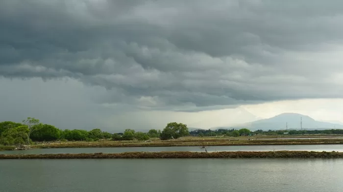 Global Water Cycle