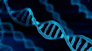 Beyond Randomness: New Insights into Evolution’s Structured Dynamics