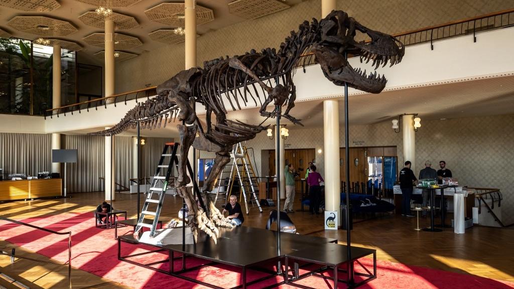 Scientists conclude New Mexico fossil is new Tyrannosaurus species