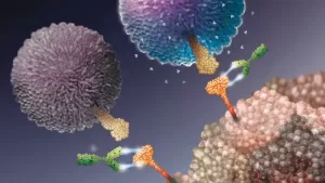 Unlocking Precision Care: How Immune Cells Forecast Skin Cancer Treatment Responses