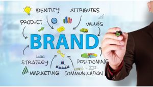 Brand Evolution: Building Sustainable Value in Today’s Market
