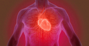 Study Reveals Proteins’ Potential in Lowering Risk of Heart Damage