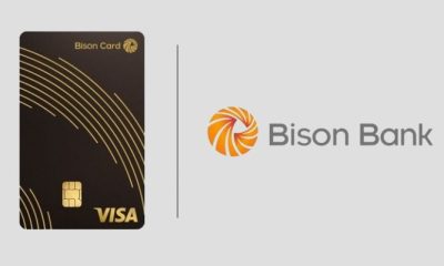 Visa Bison Card