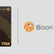 Visa Bison Card