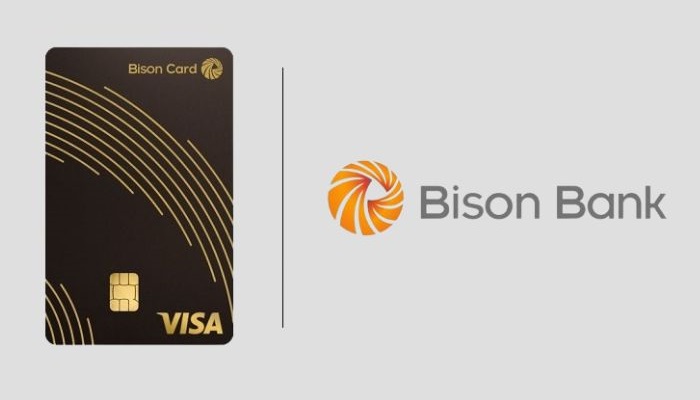 Visa Bison Card