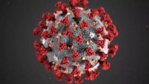 Understanding COVID-19 Replication Sparks Innovative Antiviral Treatments