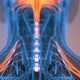 nerve