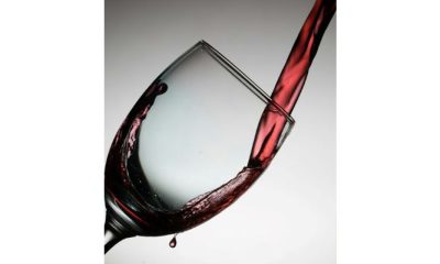 Red Wine 101: A Beginner's Guide to Tasting and Pairing