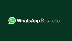 WhatsApp Rolls Out AI Tools for Businesses to Streamline Operations