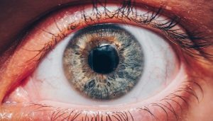 Worldcoin’s Biometric Project Stirs Global Controversy Amid Privacy Concerns