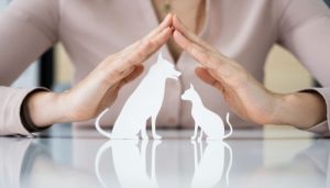 How E-Commerce is Transforming the Pet Care Industry
