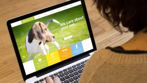 Local Engagement Meets Centralized Marketing: A Strategy for Multi-Location Pet Businesses