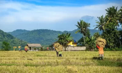 Eratani