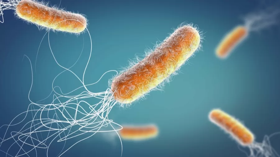 New Superbug Threatens Hospital Safety by Feeding on Medical Plastics 61 Medical Plastics