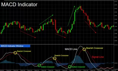 What is Sensex- A Beginner’s Guide to India’s Stock Market Indicator