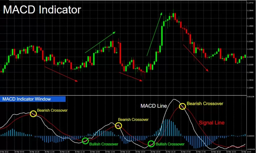 What is Sensex? A Beginner’s Guide to India’s Stock Market Indicator 61 What is Sensex- A Beginner’s Guide to India’s Stock Market Indicator
