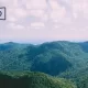 Wildfire