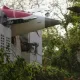 Air India